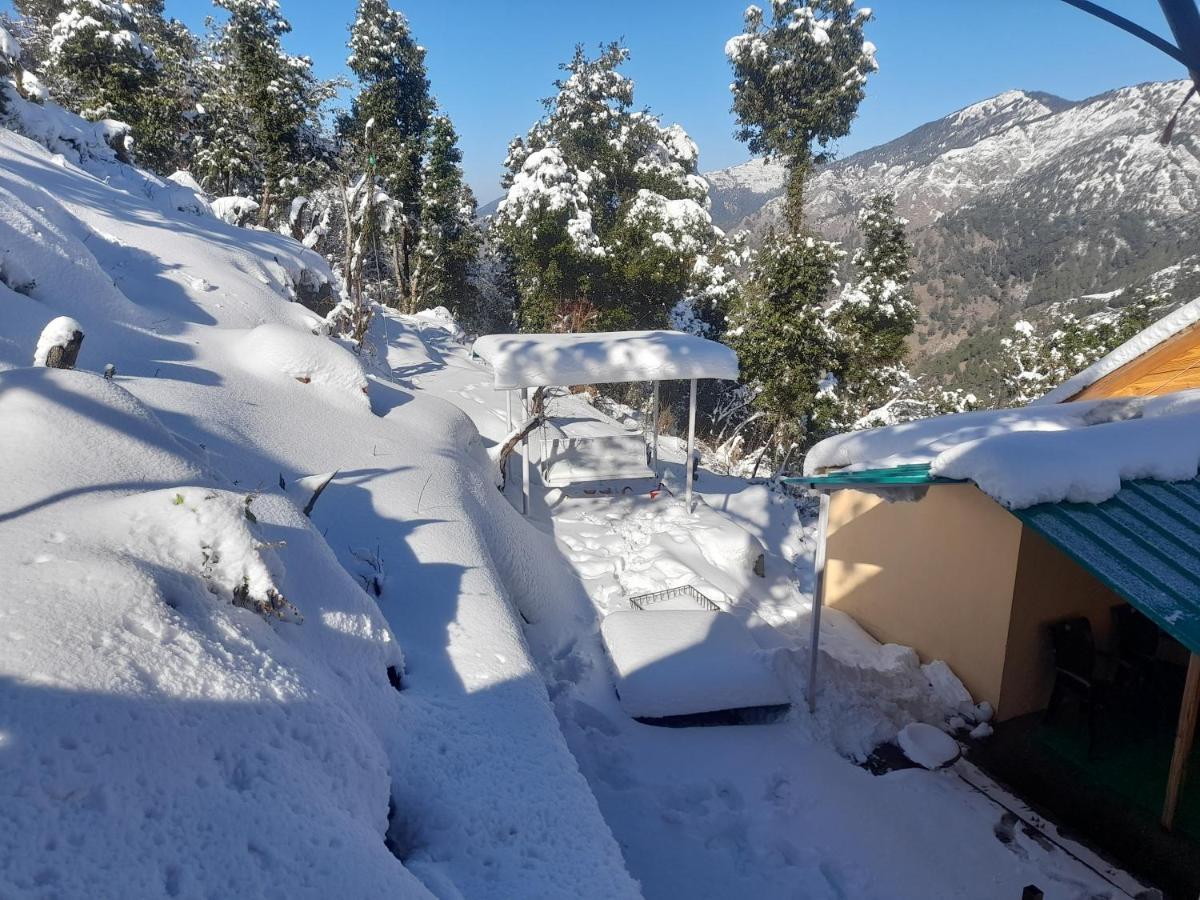Chiraiyya Cottage Pangot Nainital Exterior foto